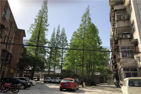 城东保利海德佳园C区和园3室2厅2卫169万150m2出售